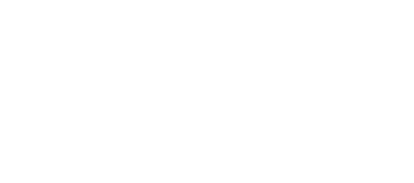Chase - Nichts hält ihn auf