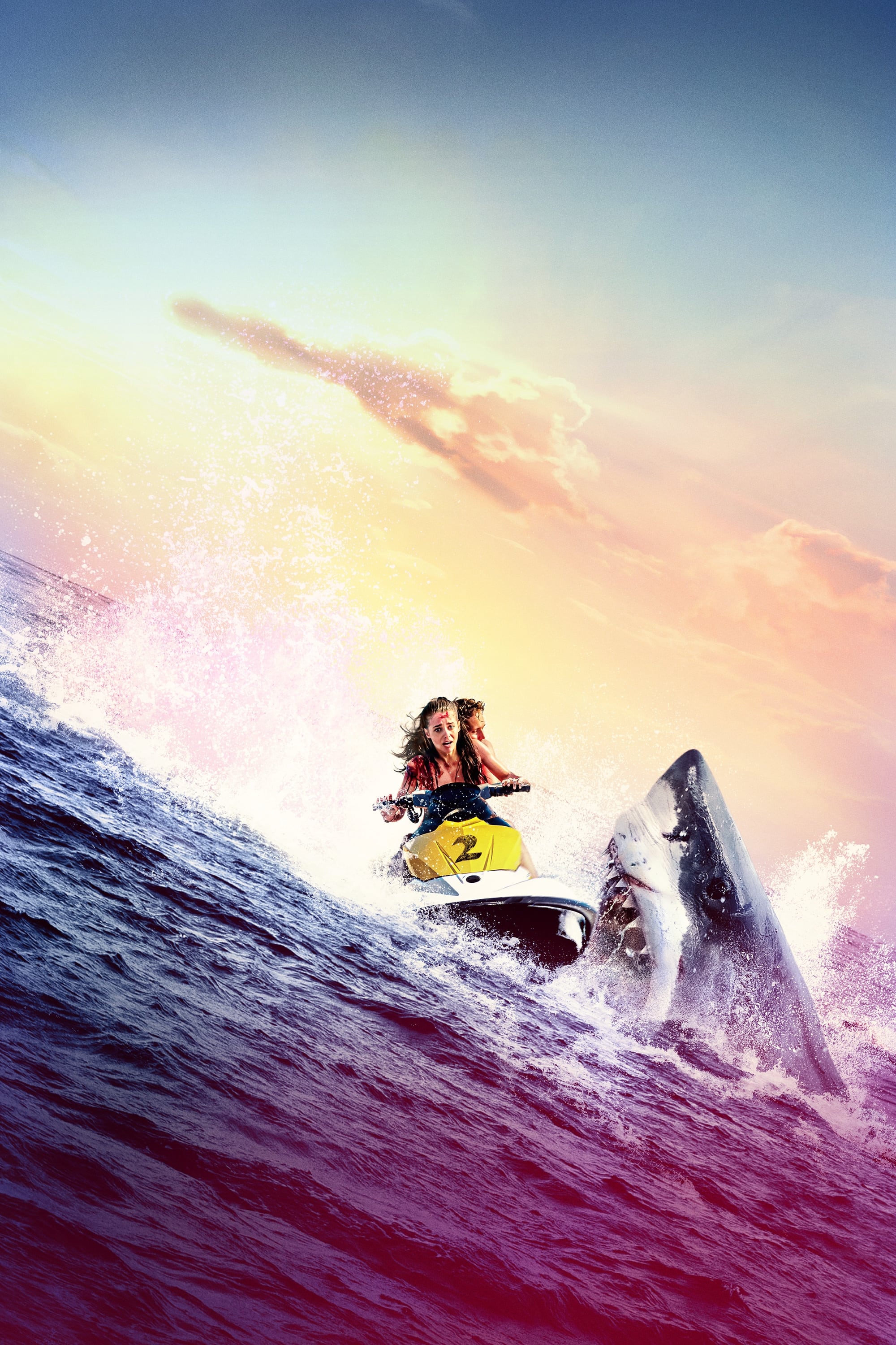 Shark Bait