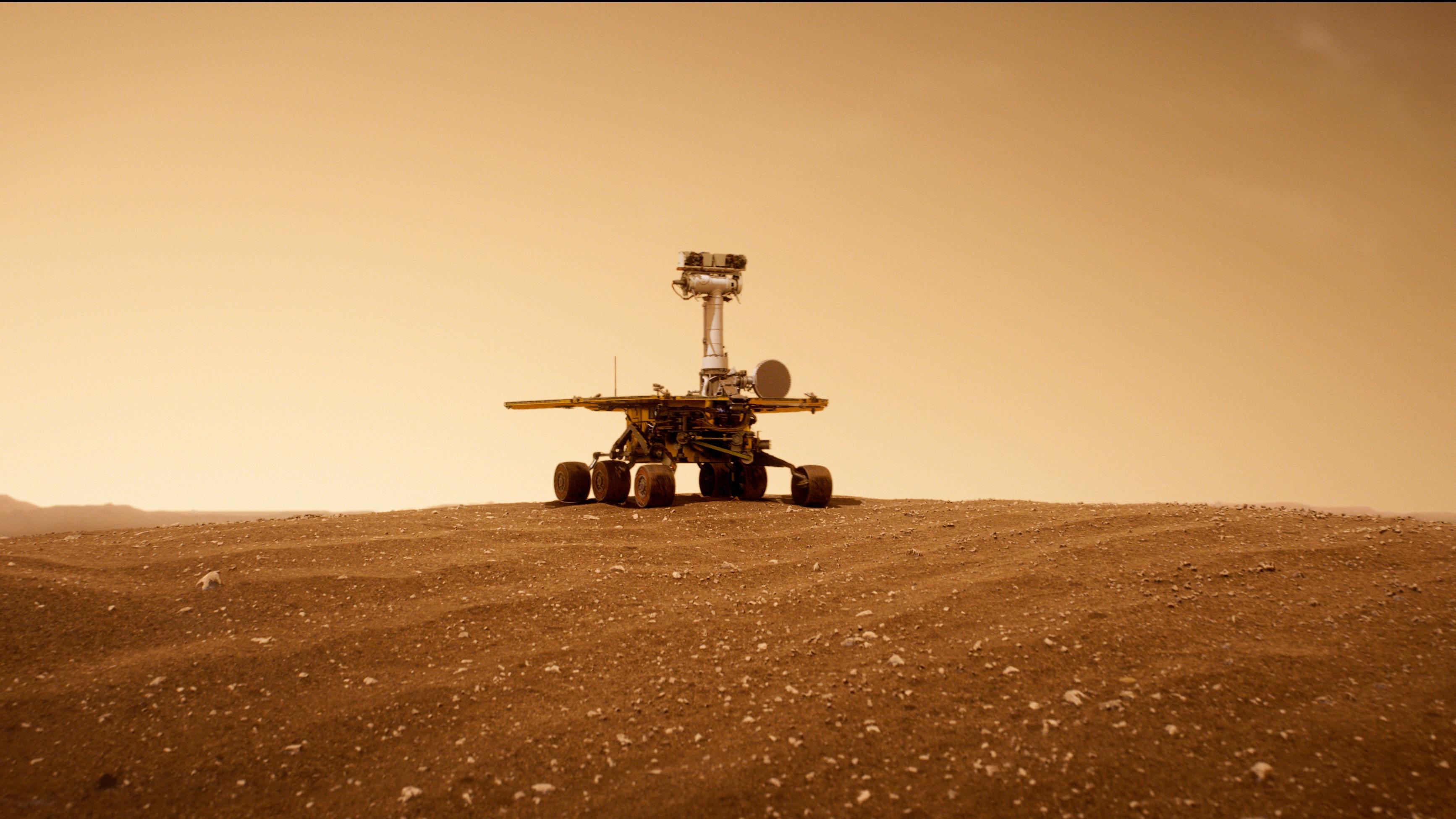 Gute Nacht, Oppy