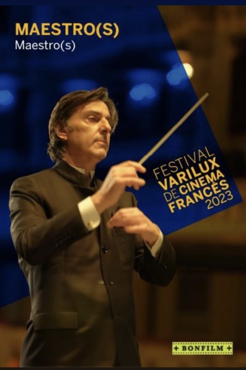 Maestro(s) - Zwei Meister eines Fachs