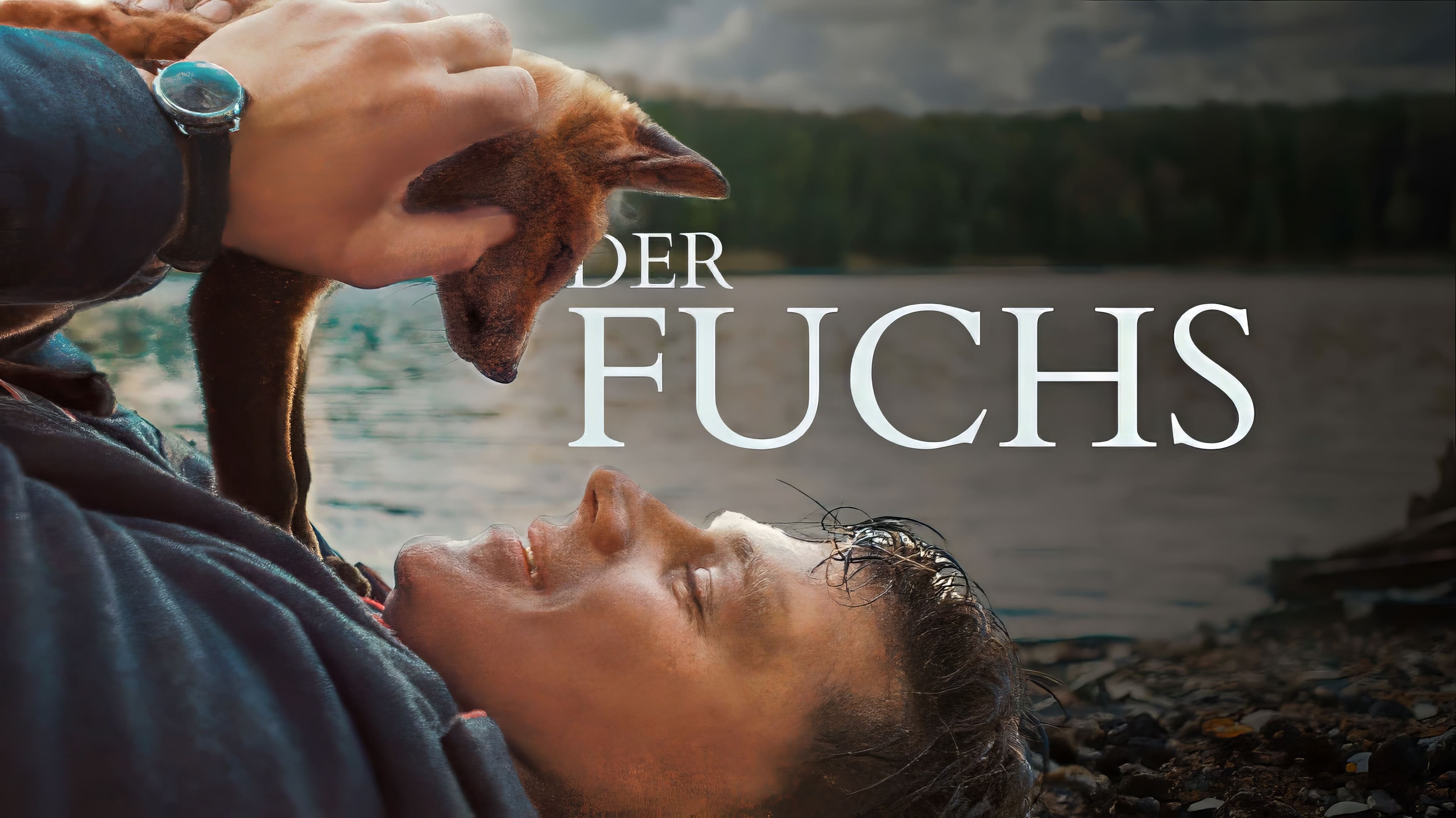 Der Fuchs