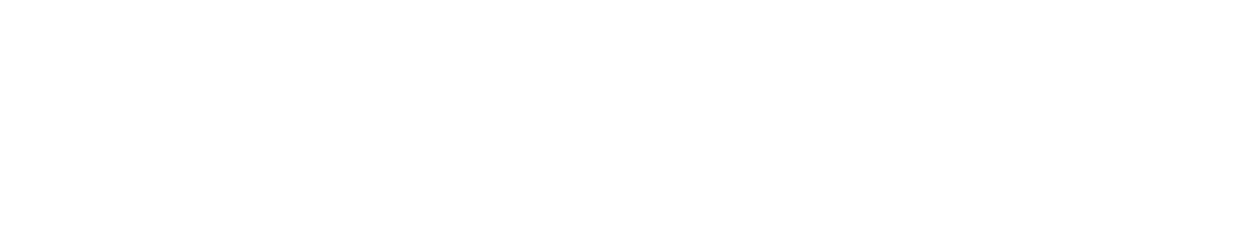 Der Passfälscher