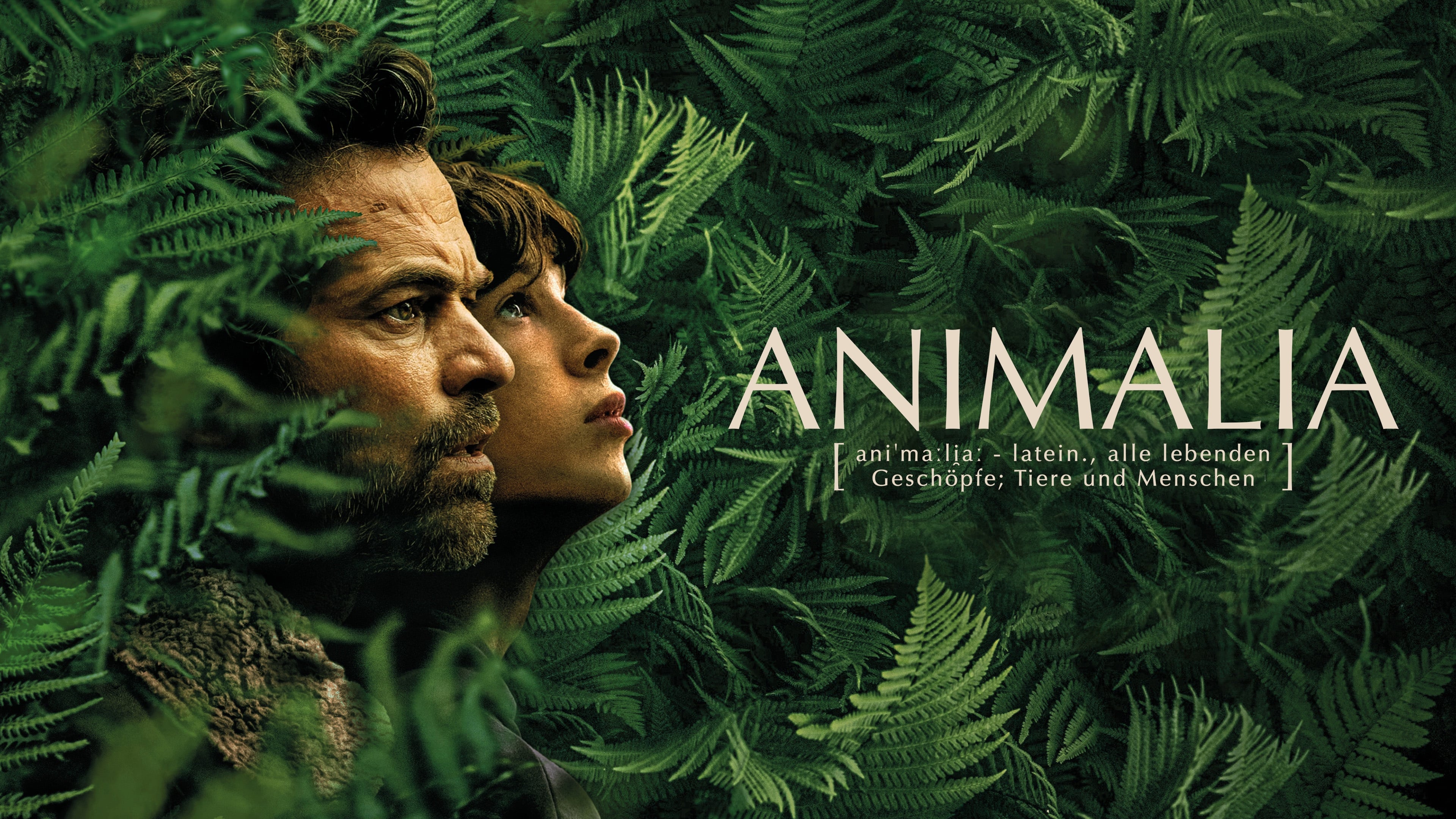 Animalia
