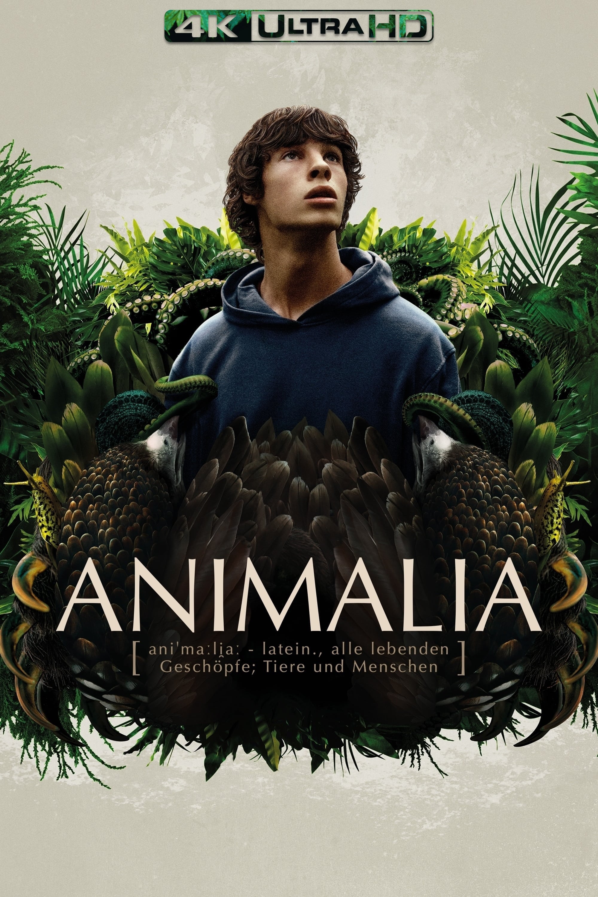 Animalia