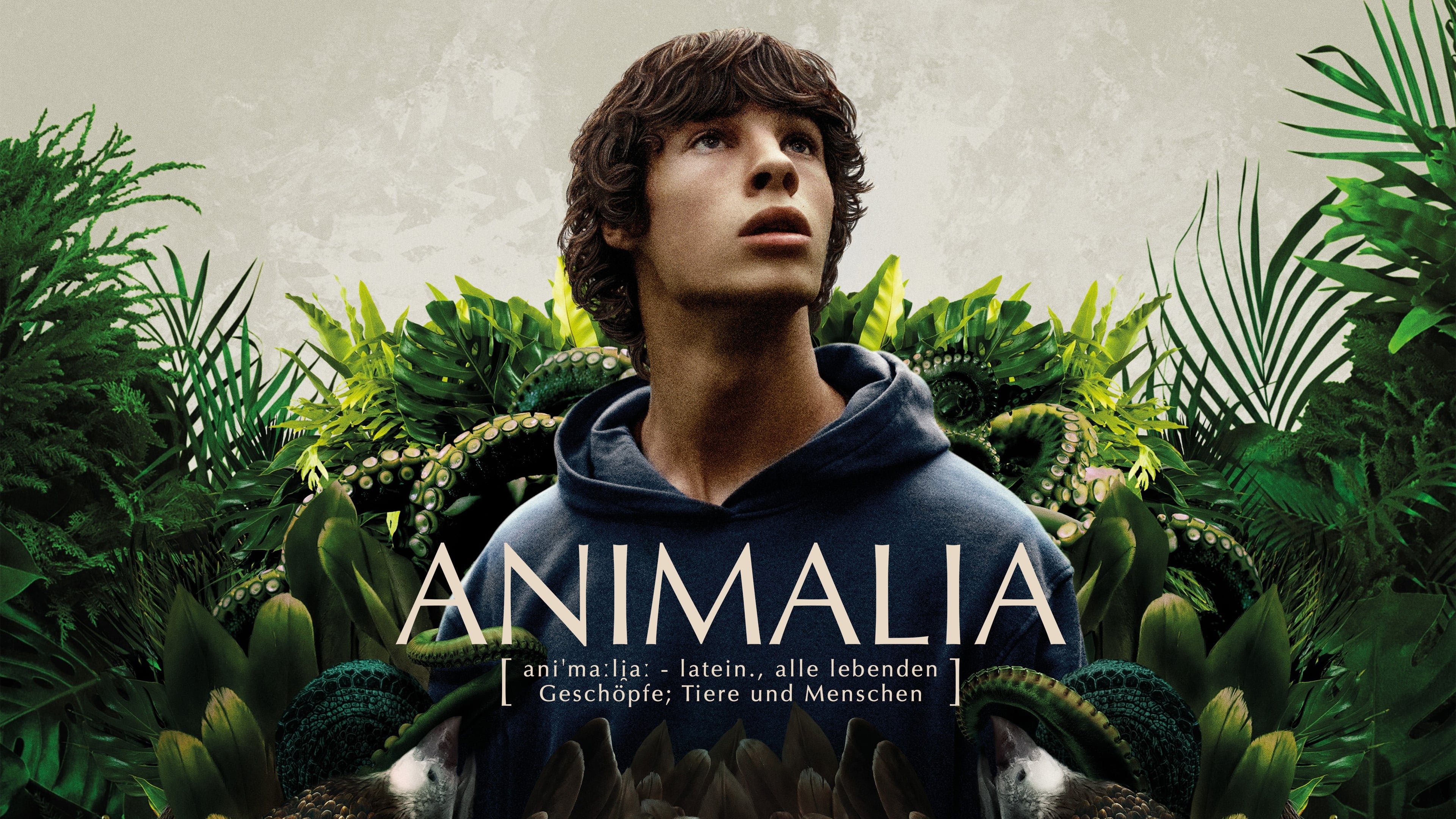 Animalia