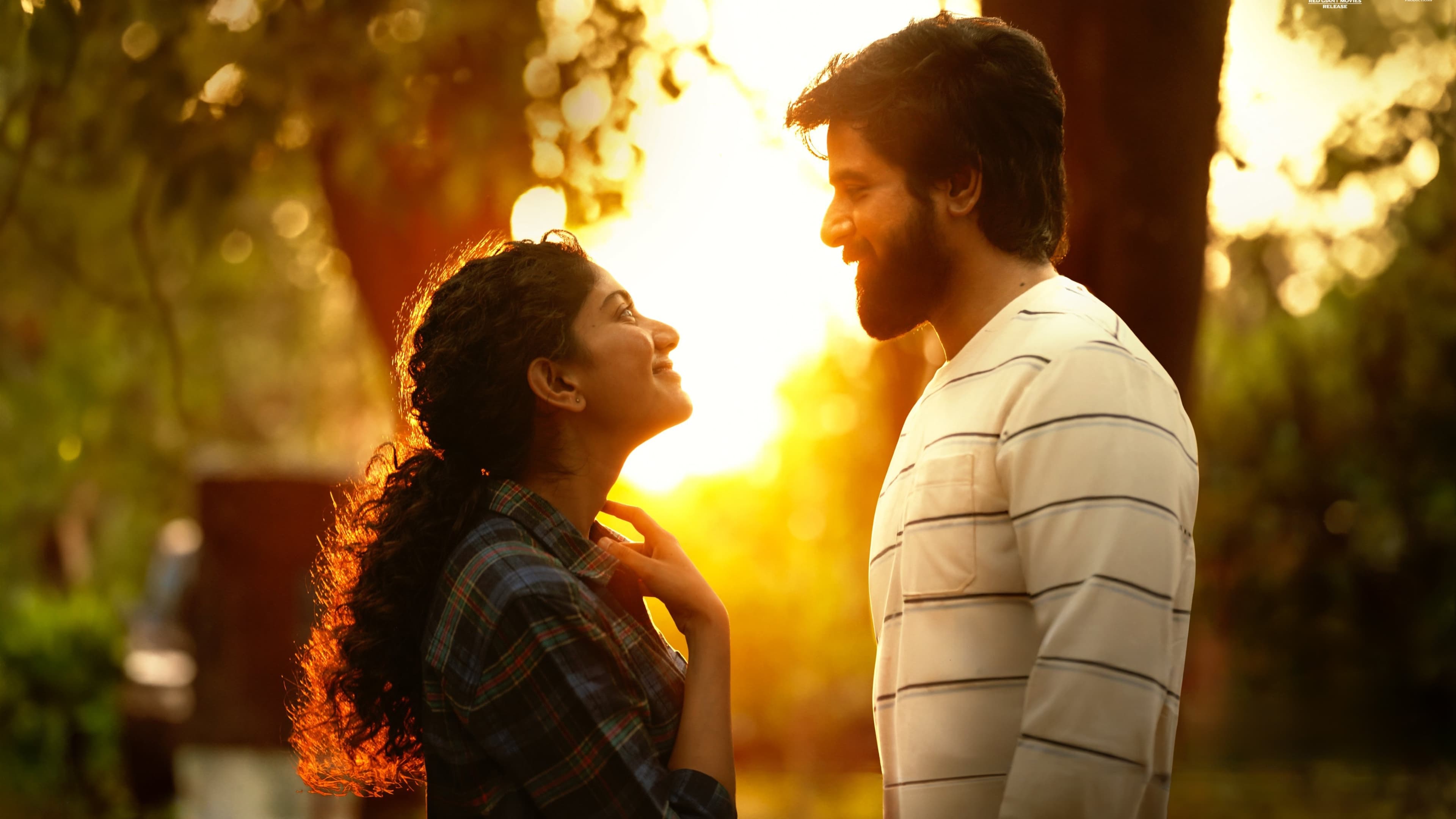 அமரன்