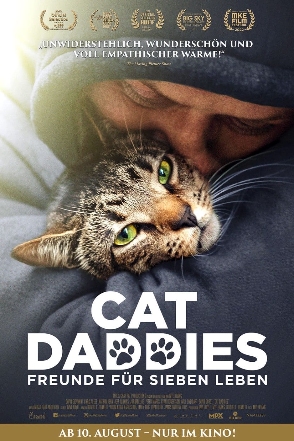 Cat Daddies - Freunde für sieben Leben