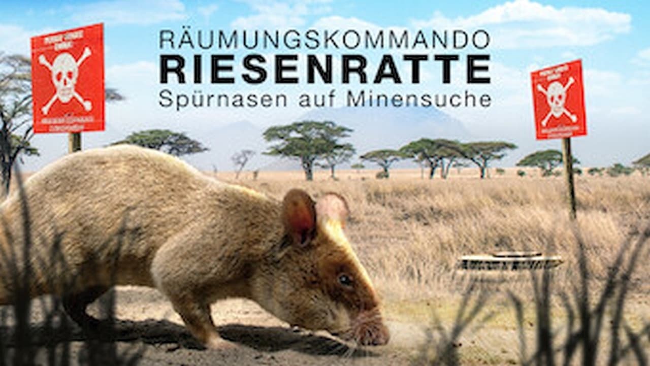 Räumkommando Riesenratte - Spürnasen auf Minensuche