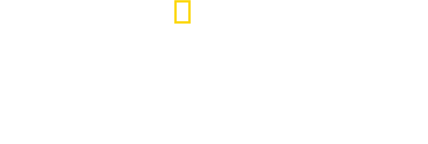 Die tödlichsten Haie der Welt