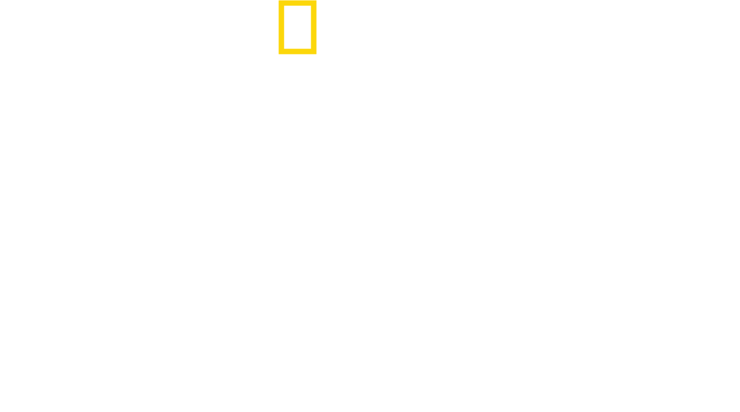 Rivalen: Haie vs. Orcas