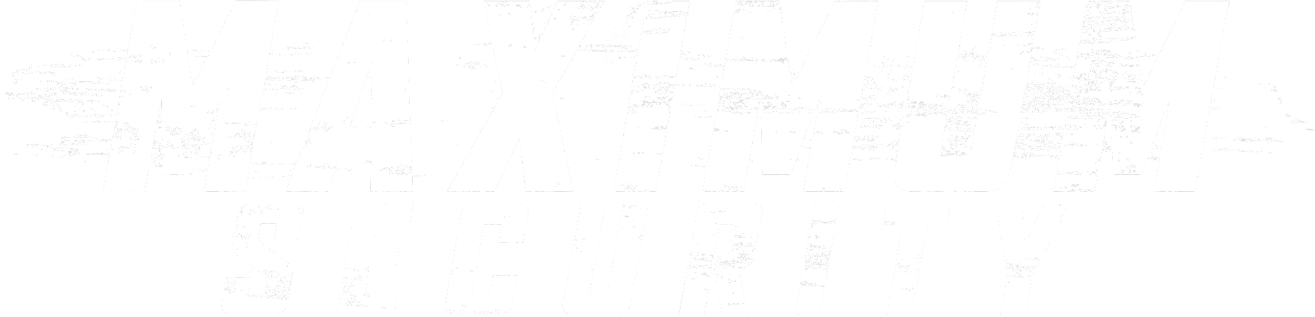 Maximum Security