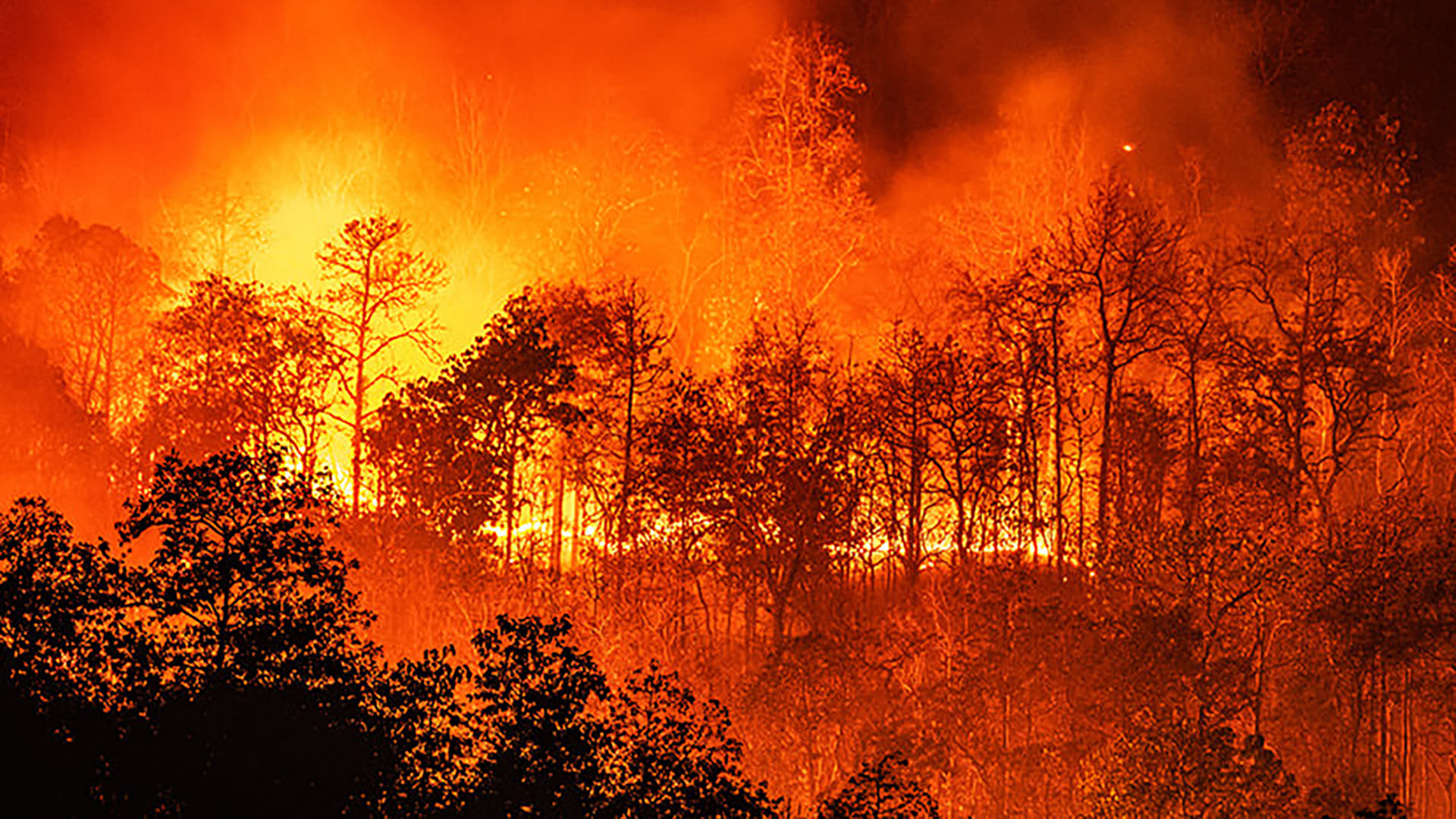 On Fire - Der Feuersturm