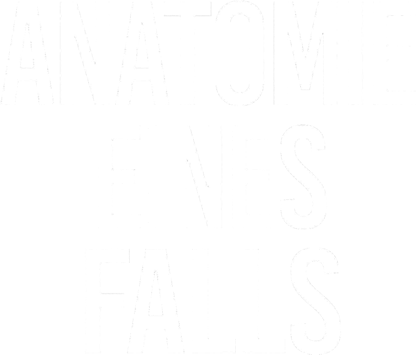 Anatomie eines Falls