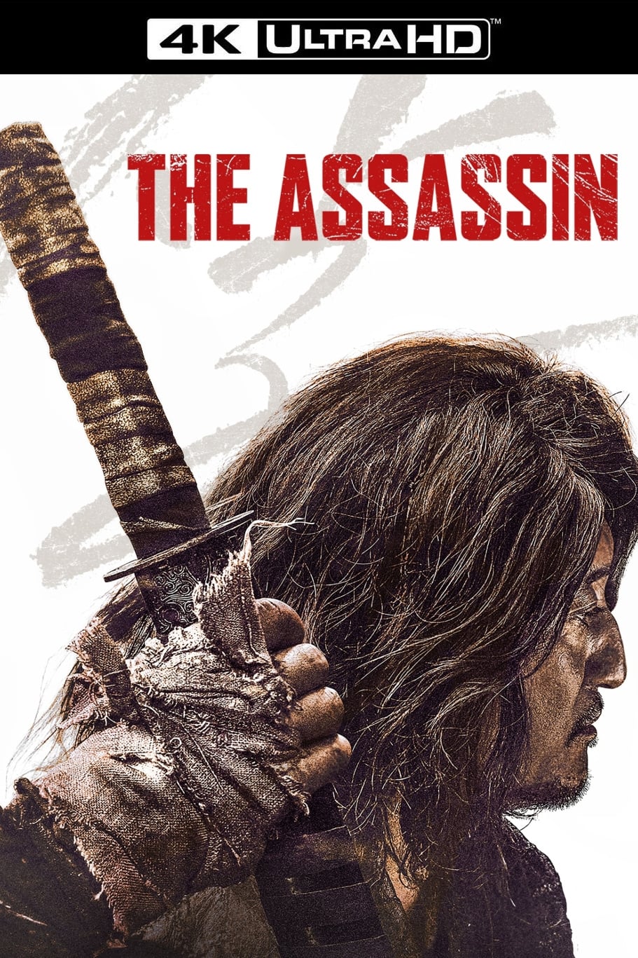 The Assassin