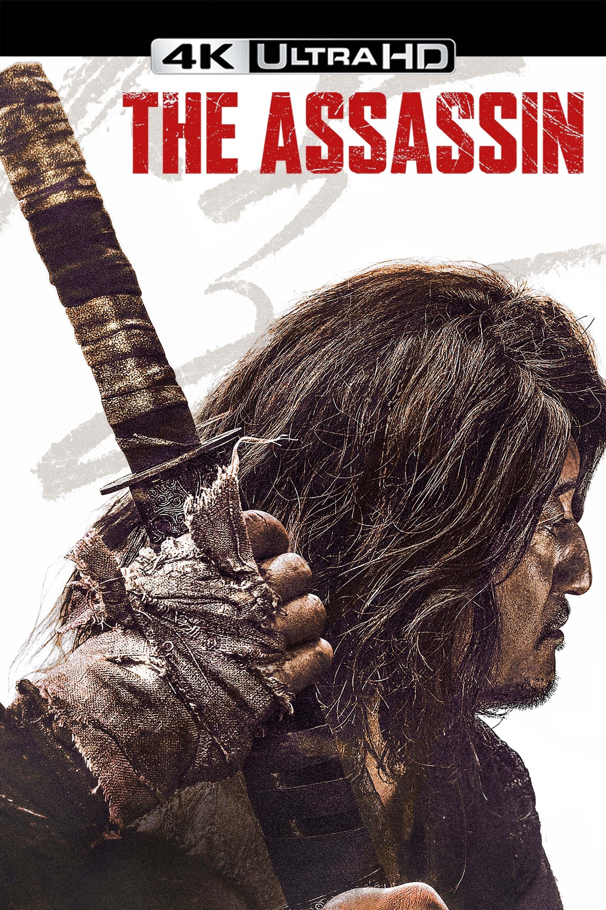 The Assassin
