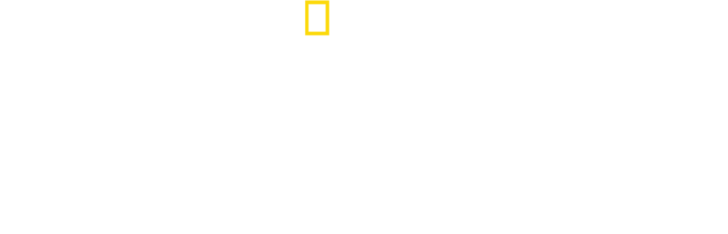 Hai vs. Killerwal