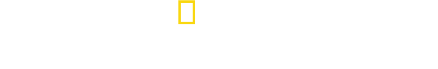 Hai vs. Krokodil