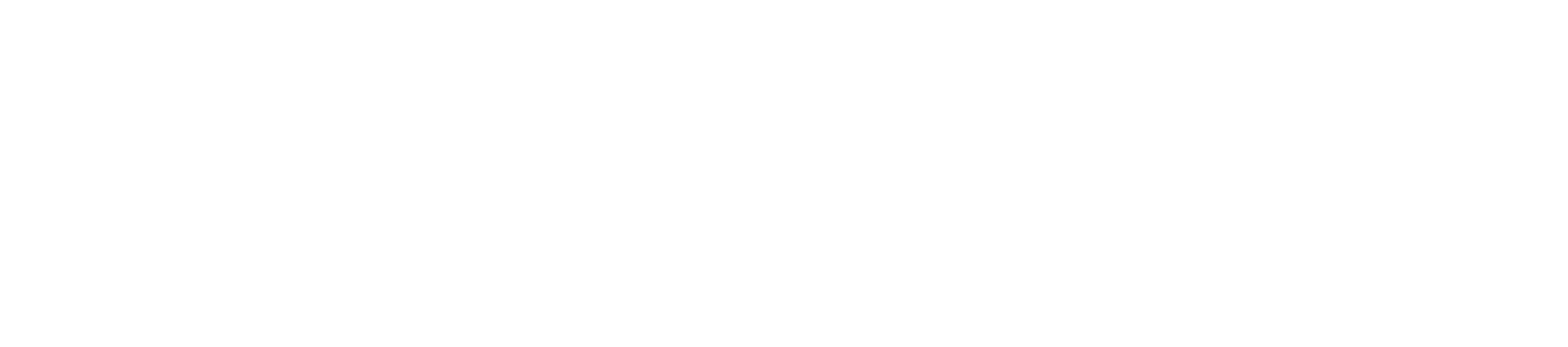 Der Lügner