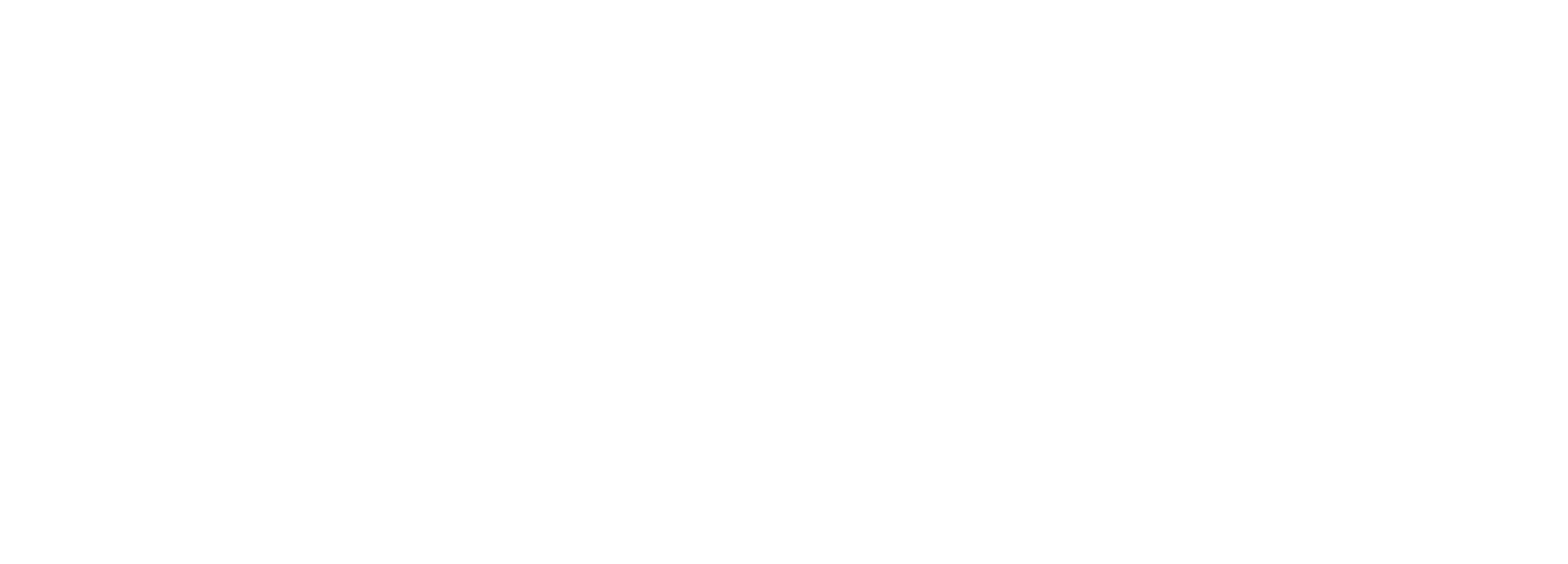Chevalier: The Untold Story