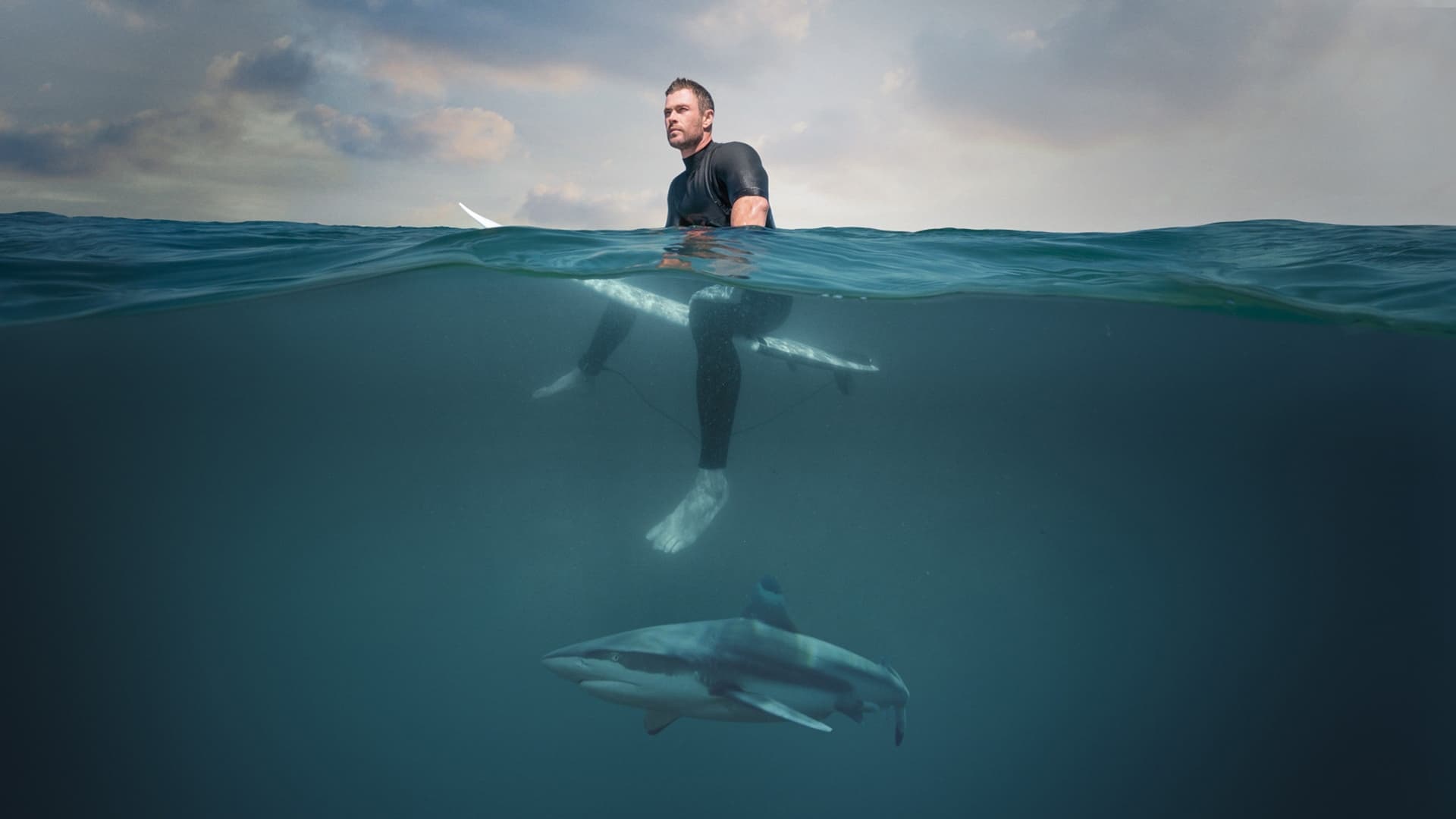 Der Strand der Haie mit Chris Hemsworth