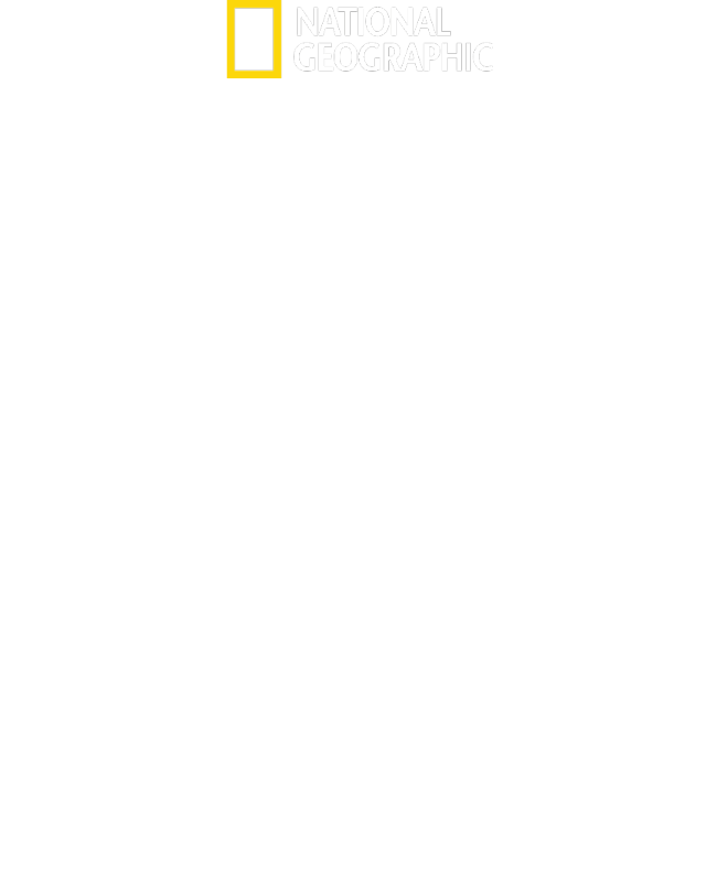 Die neue Air Force One: Eine fliegende Festung