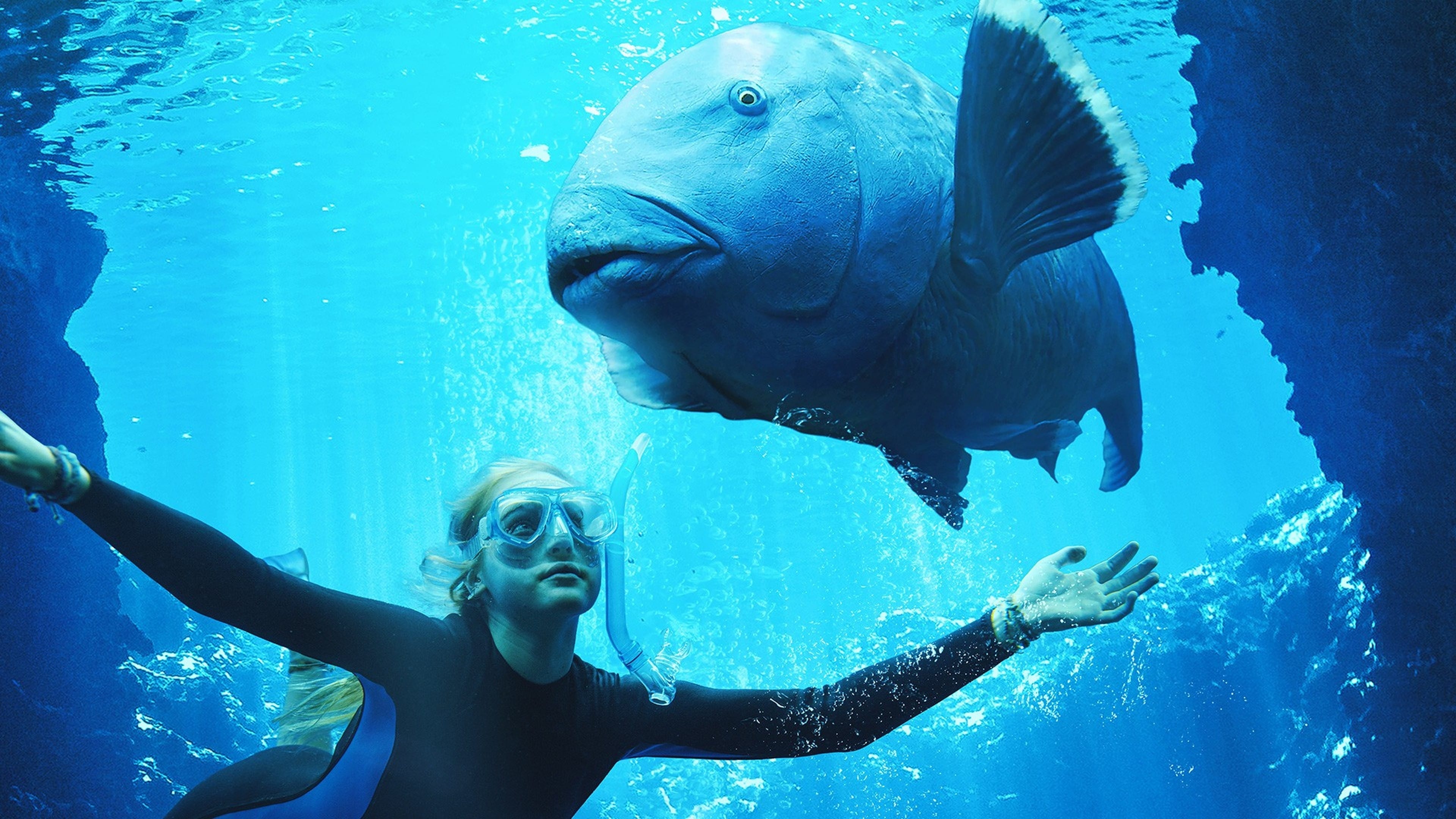 Blueback - Eine tiefe Freundschaft