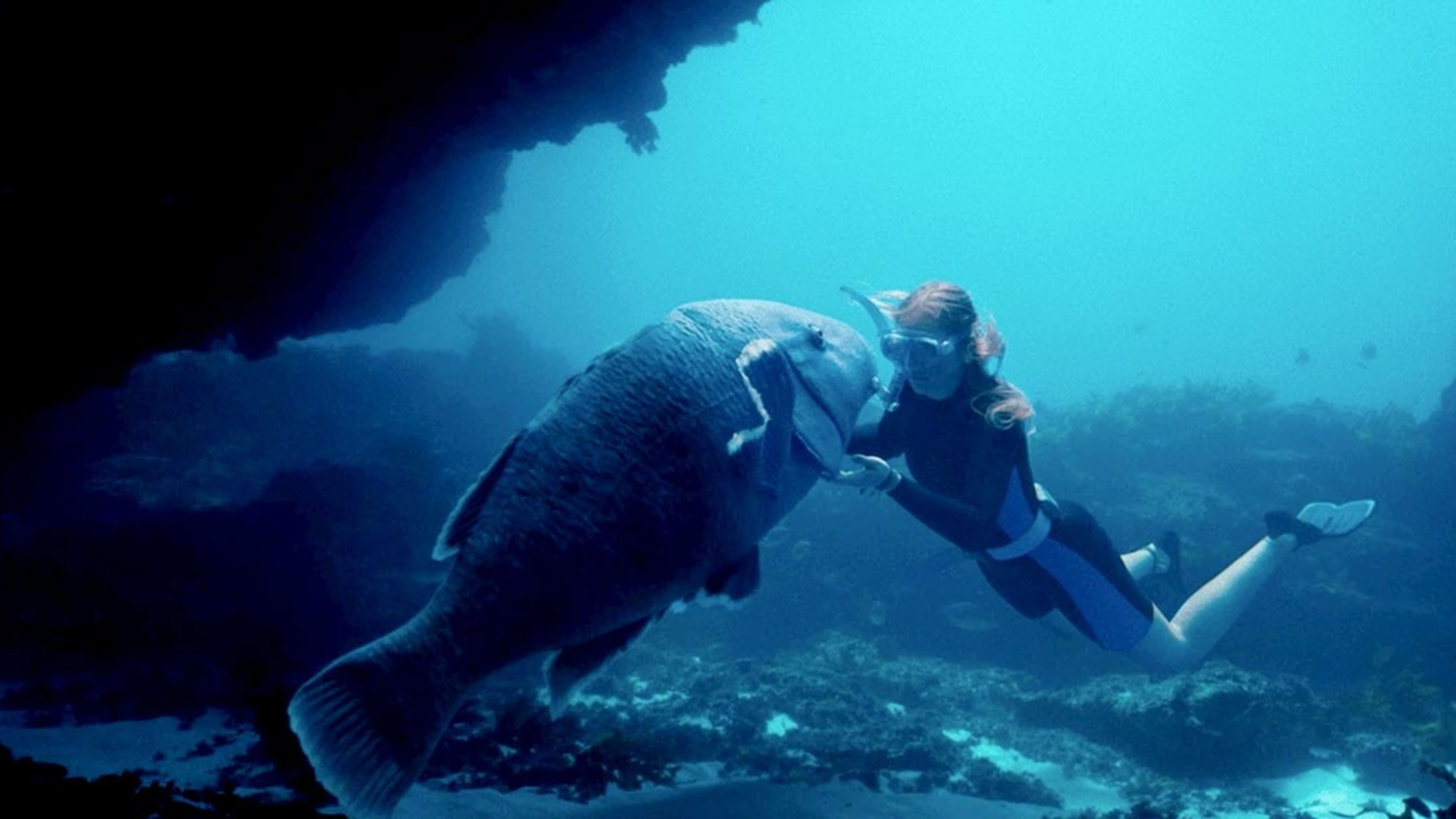 Blueback - Eine tiefe Freundschaft
