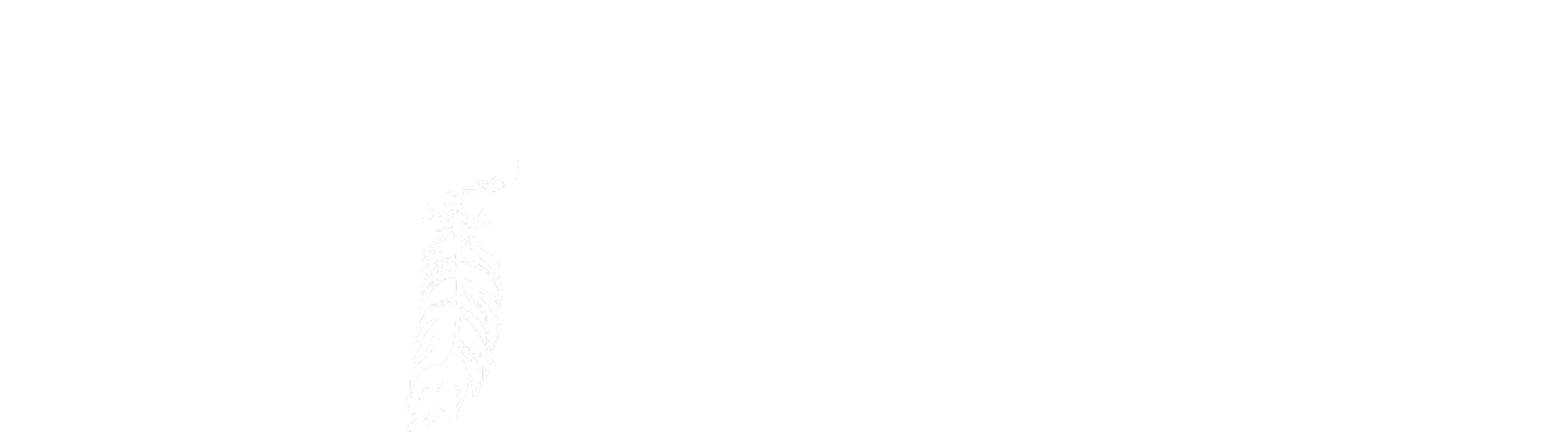 Der junge Häuptling Winnetou