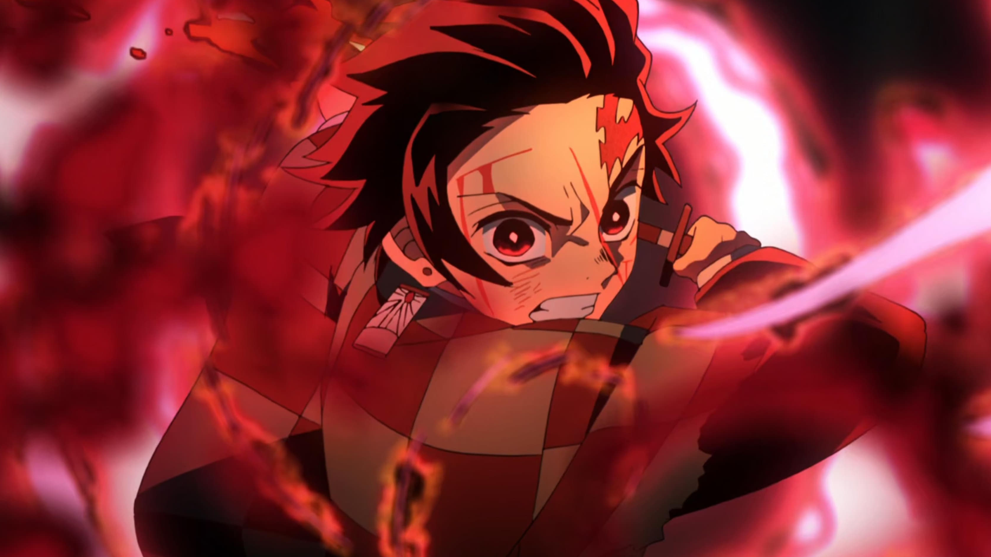 Demon Slayer: Der Natagumo-Berg