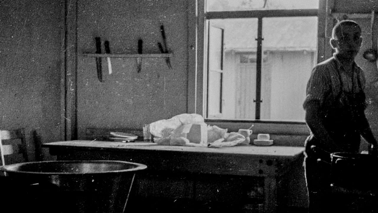 KZ Mauthausen. Von Fotografen, Häftlingen, Henkern