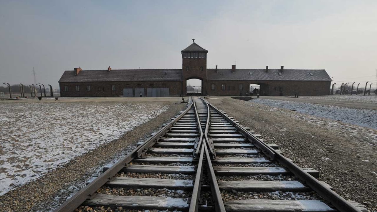 Geboren in Auschwitz
