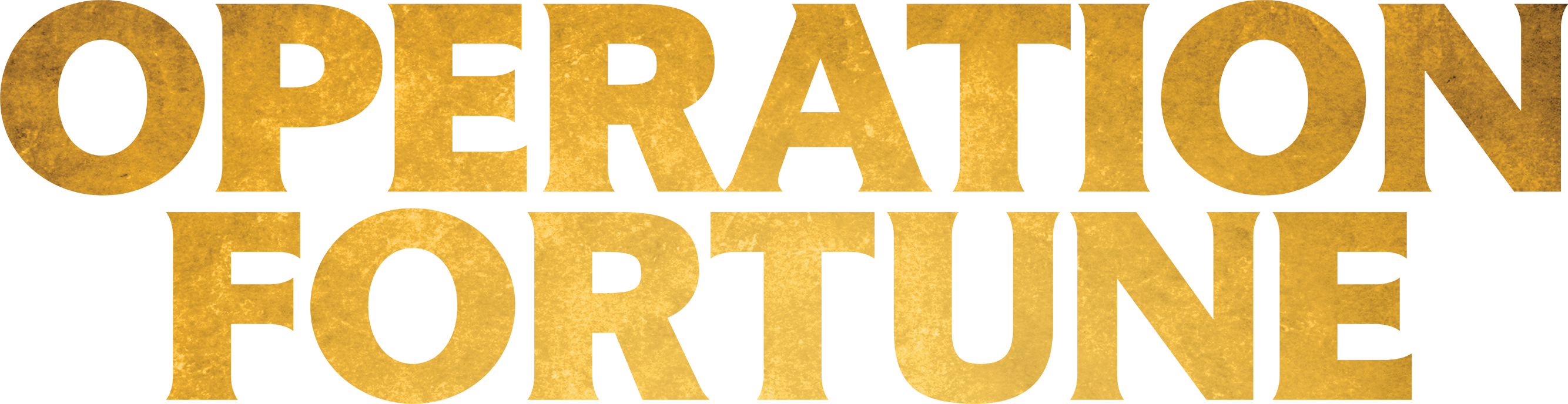 Operation Fortune