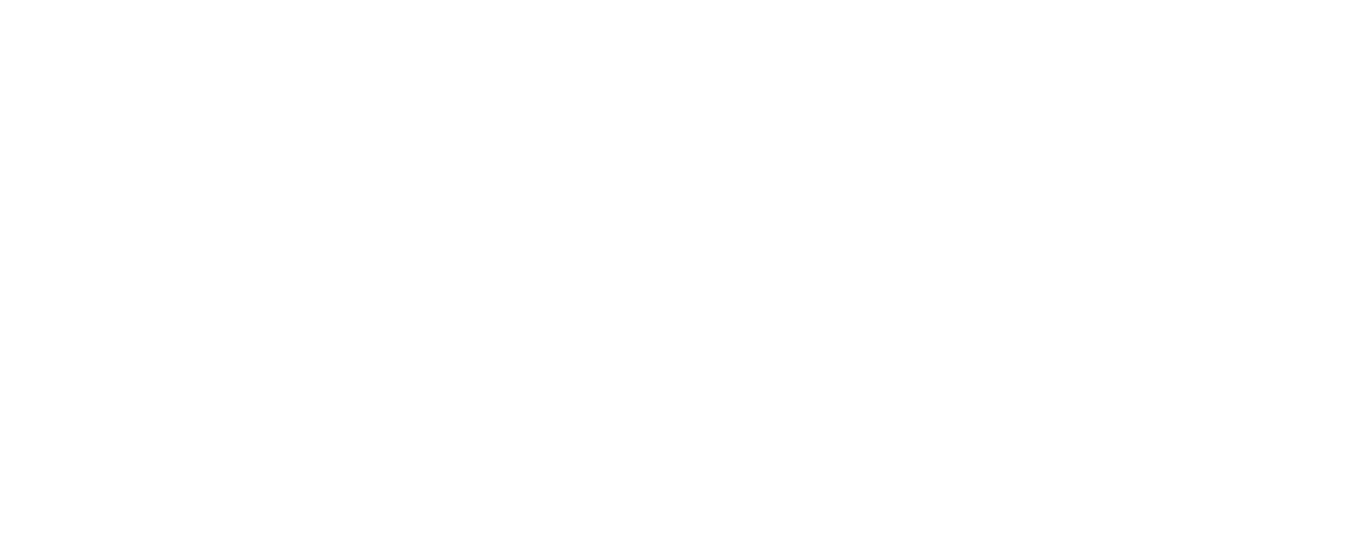 Maurice der Kater