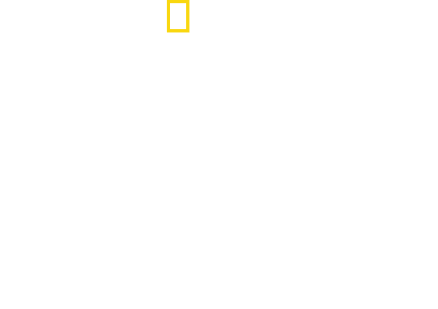 D-Day: Operation Neptune