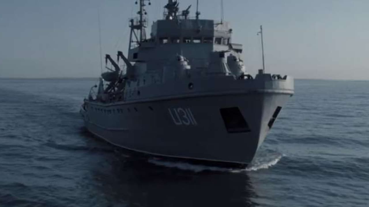 U-311: Minenräumboot Cherkasy