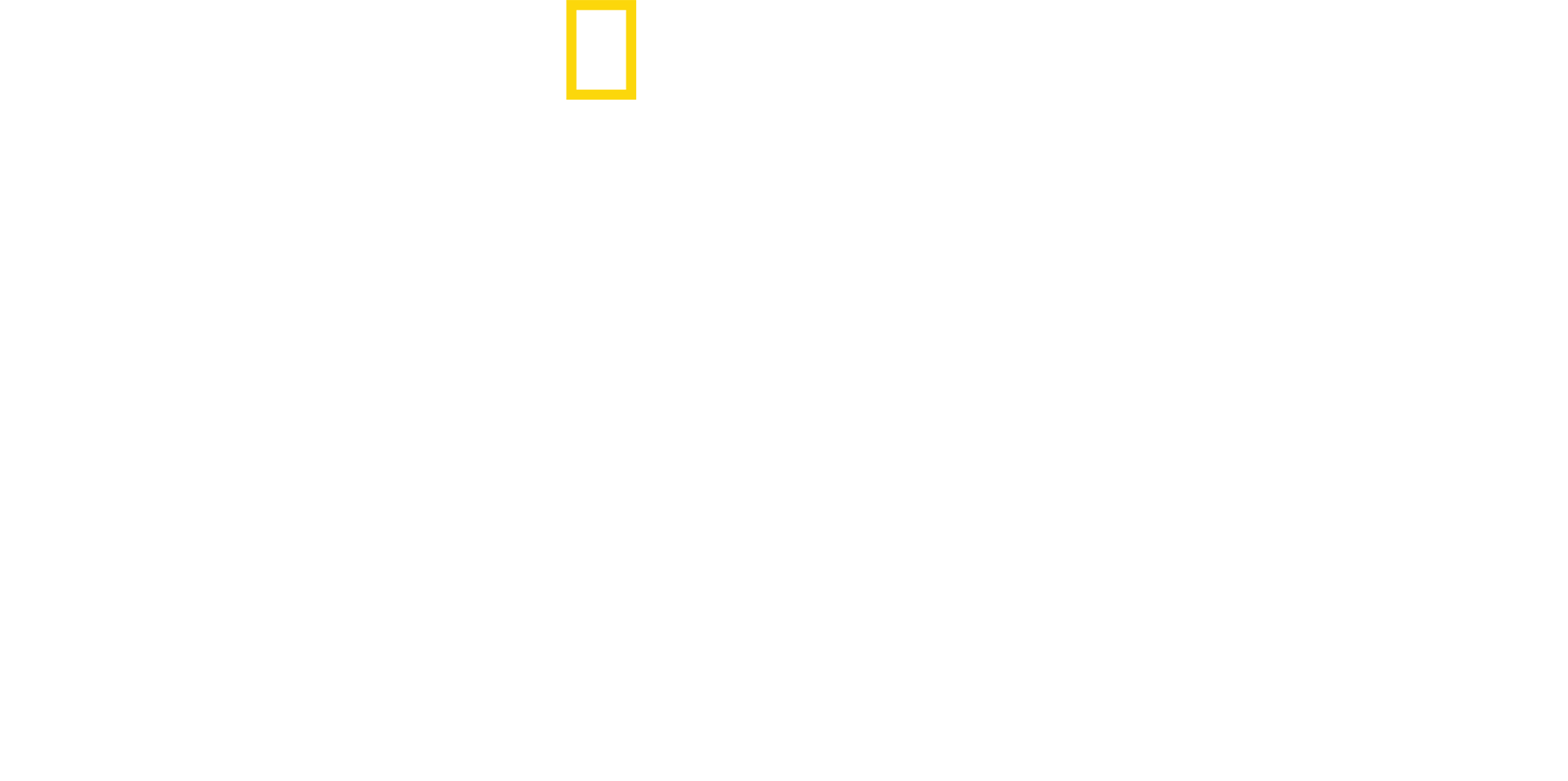 Krieg gegen Drogen