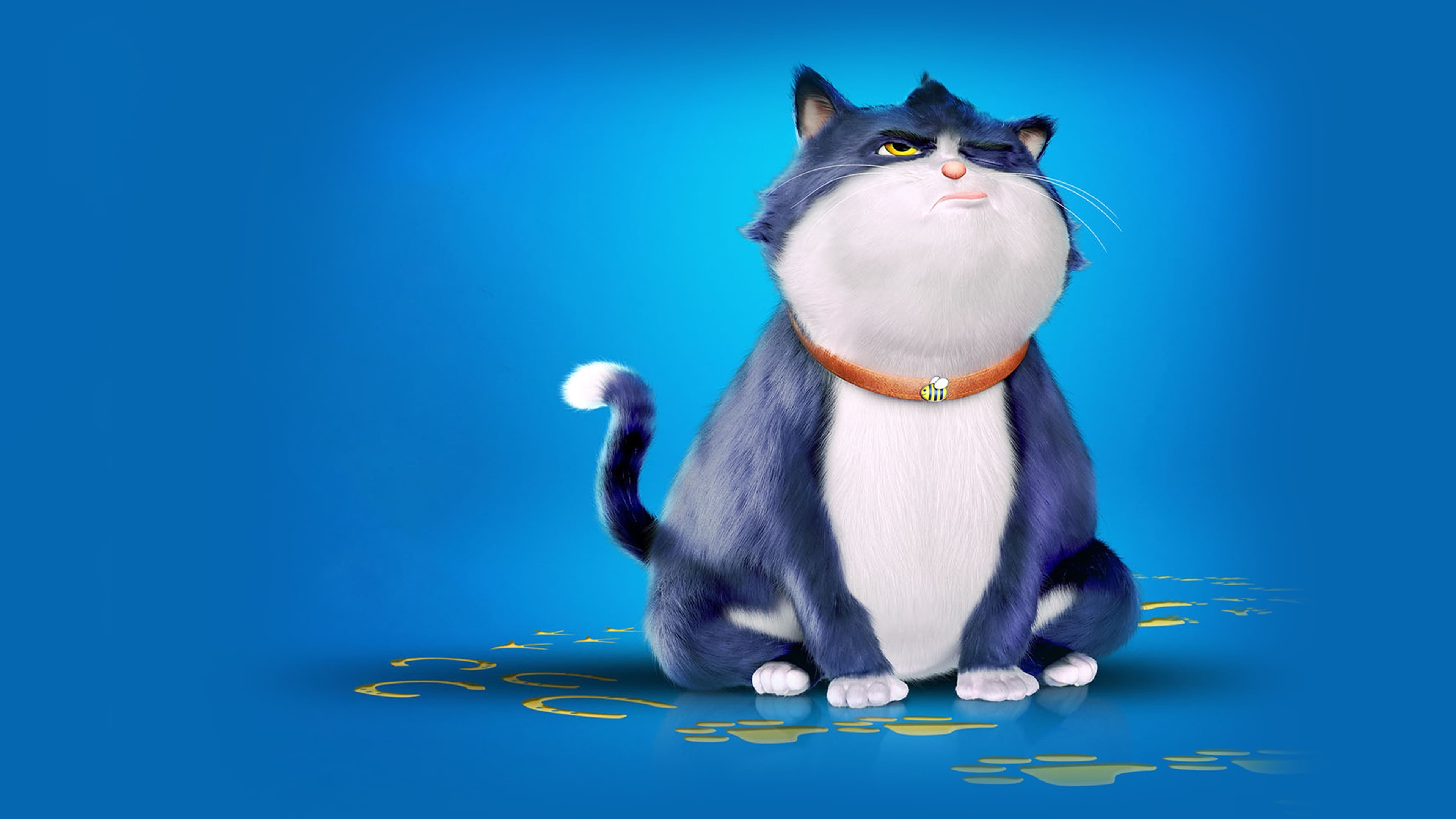 Alles für die Katz