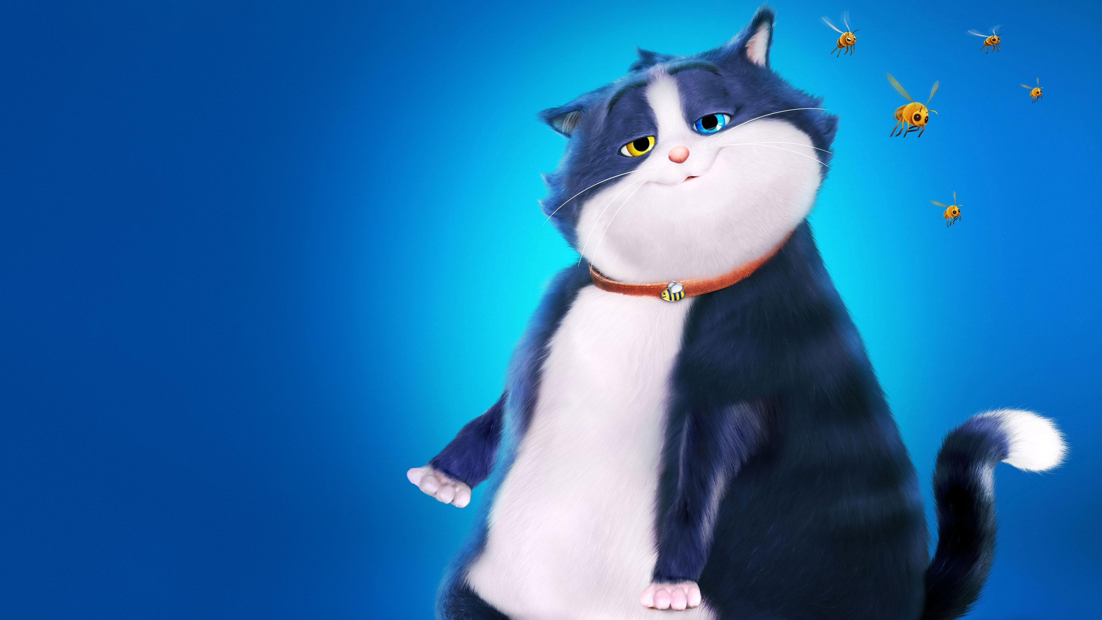 Alles für die Katz