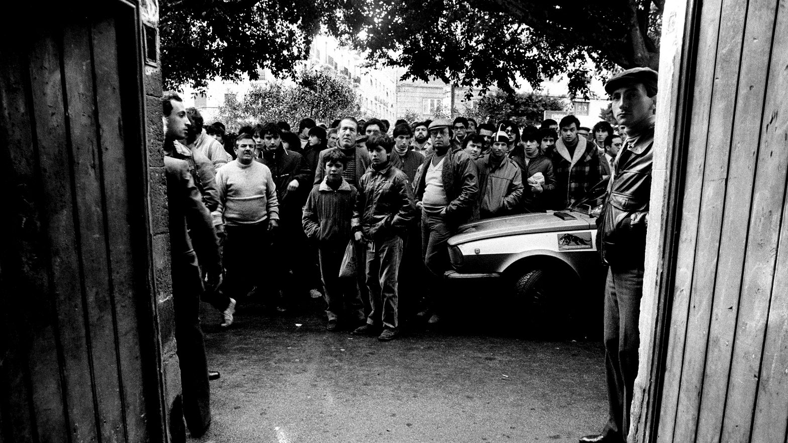 Shooting the Mafia