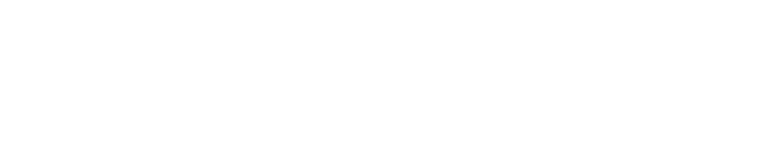 Die Ausgrabung