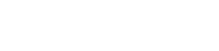 Chicken Run: Operation Nugget
