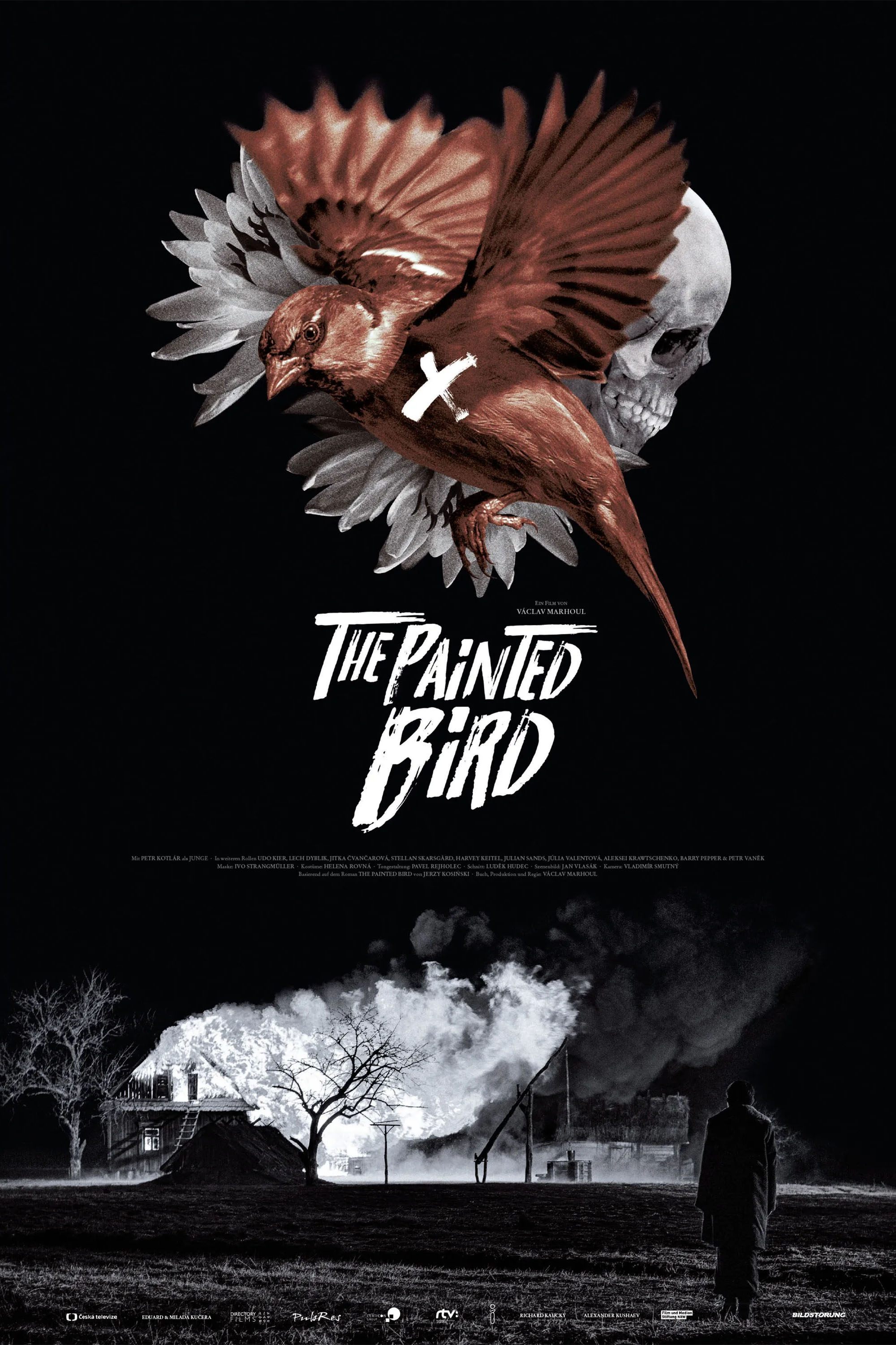 The Painted Bird