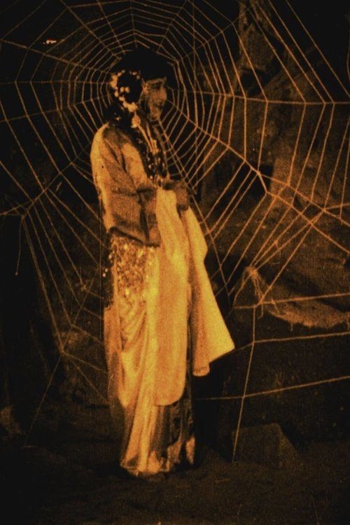 Die Höhle der Spinnenfrauen