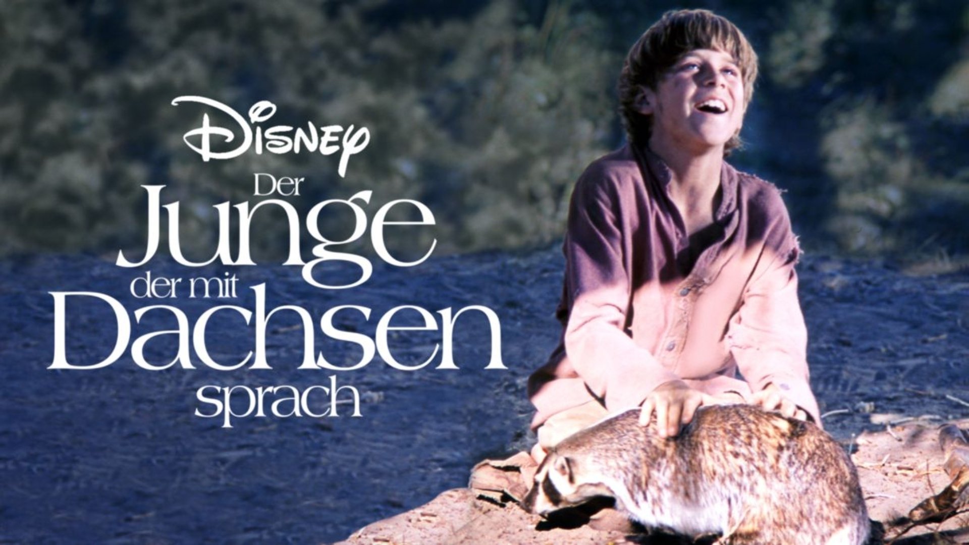 Der Junge, der mit Dachsen sprach