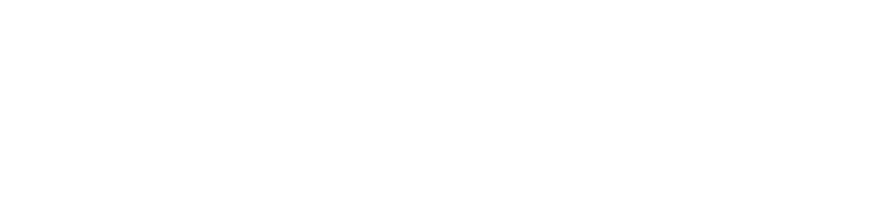 Allied - Vertraute Fremde