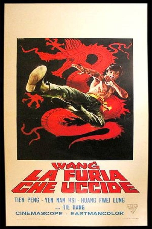 Der Todesarm des Kung Fu