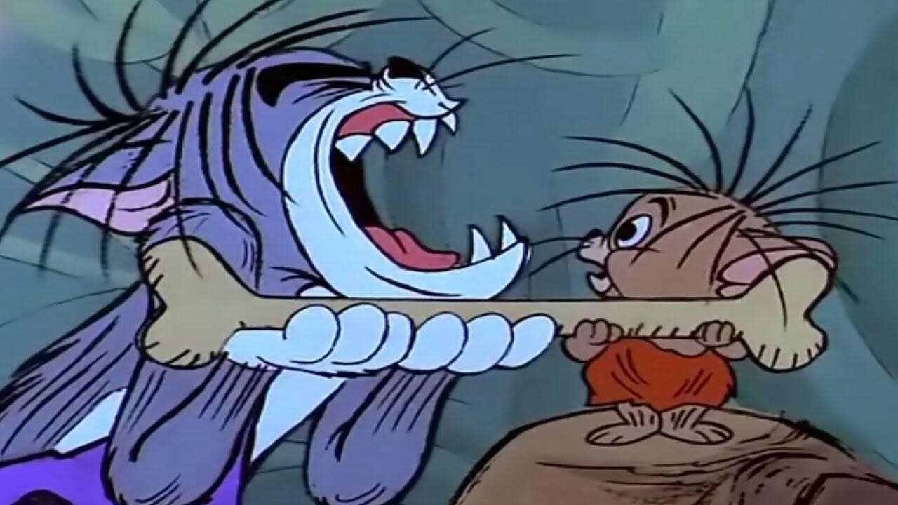 Tom und ich im Käseland