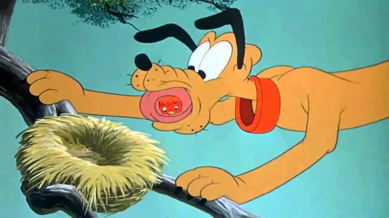 Pluto als Fluglehrer