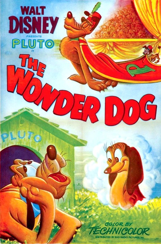 Der Zauberhund