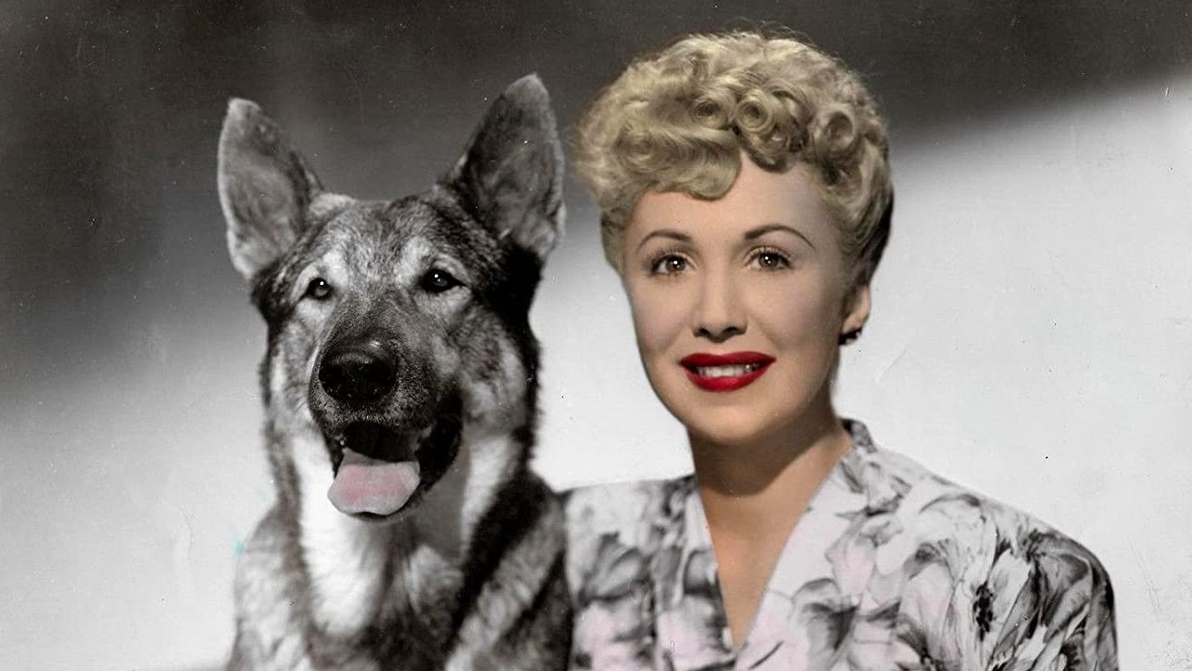 Rin Tin Tin - Die Rückkehr
